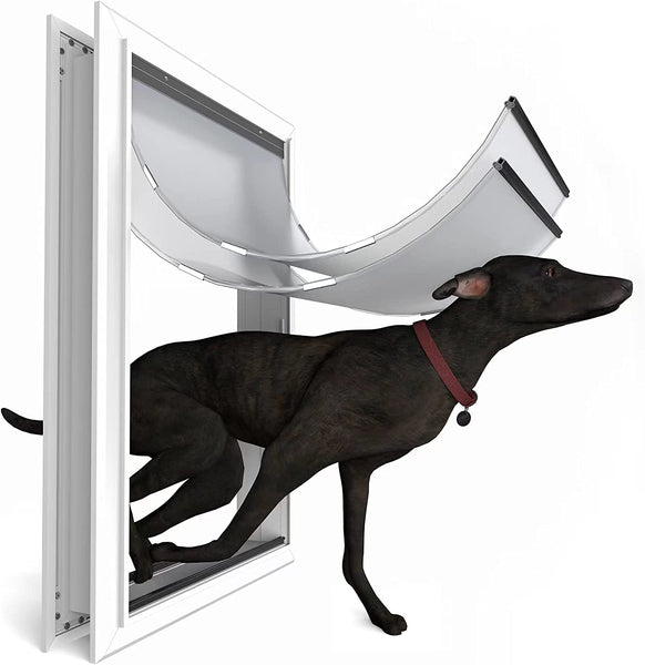 Giant dog door best sale